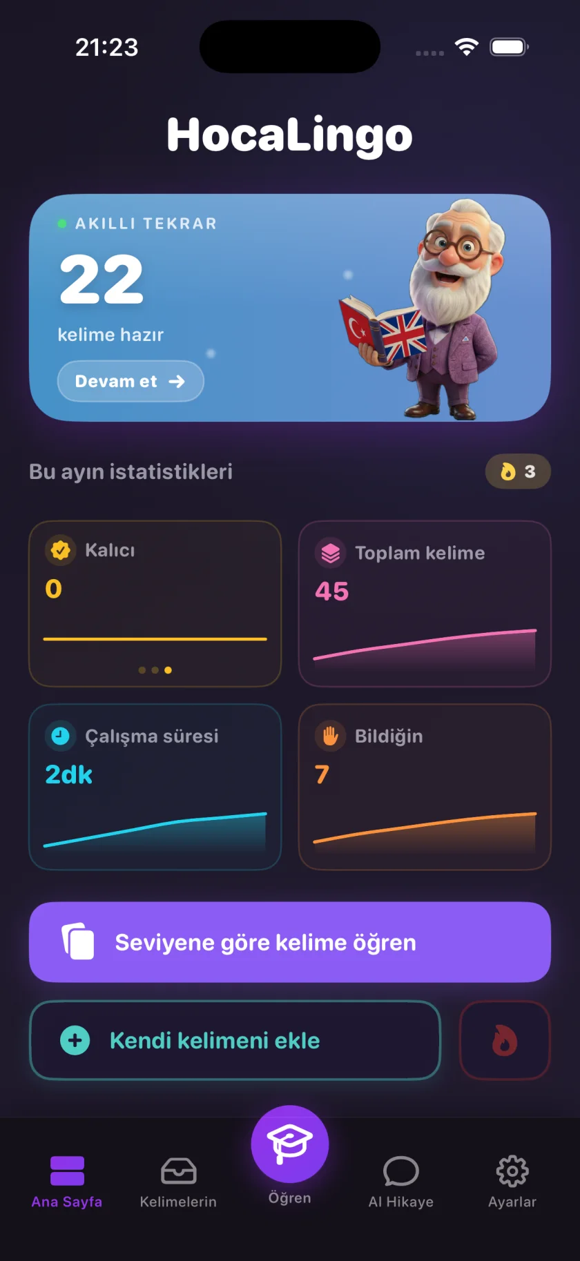 Ana sayfa: hazır kelime sayısı, aylık istatistikler ve kelime kasası.